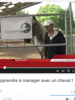 vidéo equicoaching par equi-jobbing