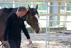 Communication grâce à l'Equi-Jobbing, l'atout equicoaching de Jobbing Partner