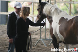 Motivation grâce à l'Equi-Jobbing, l'atout equicoaching de Jobbing Partner