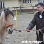 le concept Equi-Jobbing® : utilisation de l'effet miroir du cheval pour intégrer notre communauté d'Equi-manager®, manager bienveillant